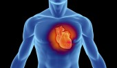 Что такое сердечно сосудистые заболевания?